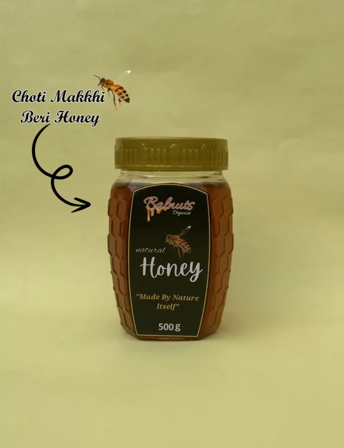 Choti Makkhi Sidr Honey 500 g